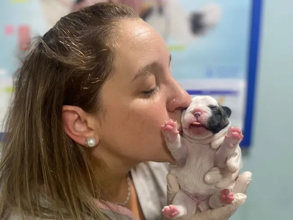 Paula con cachorro recién nacido en cesárea