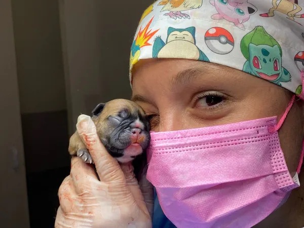 Atención neonatal post-cesárea