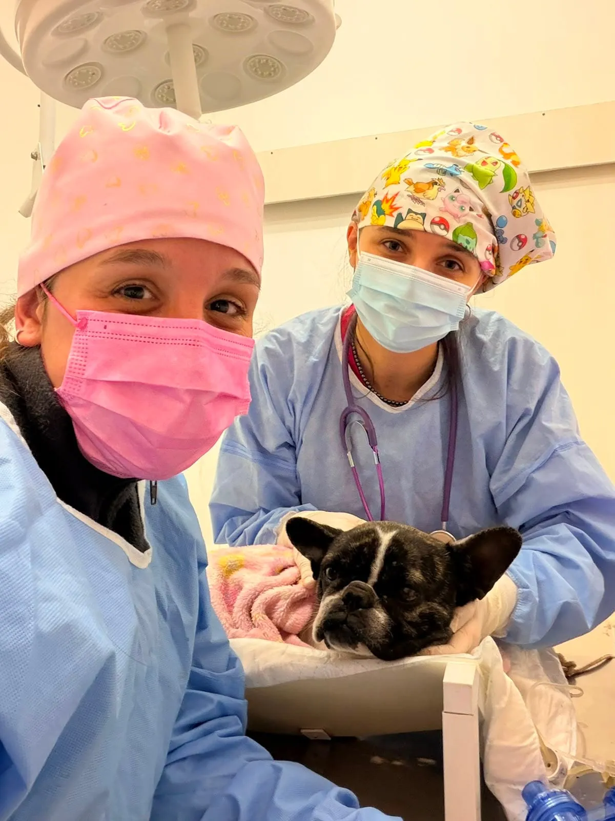 Equipo de NeoVet con la madre tras una cesárea