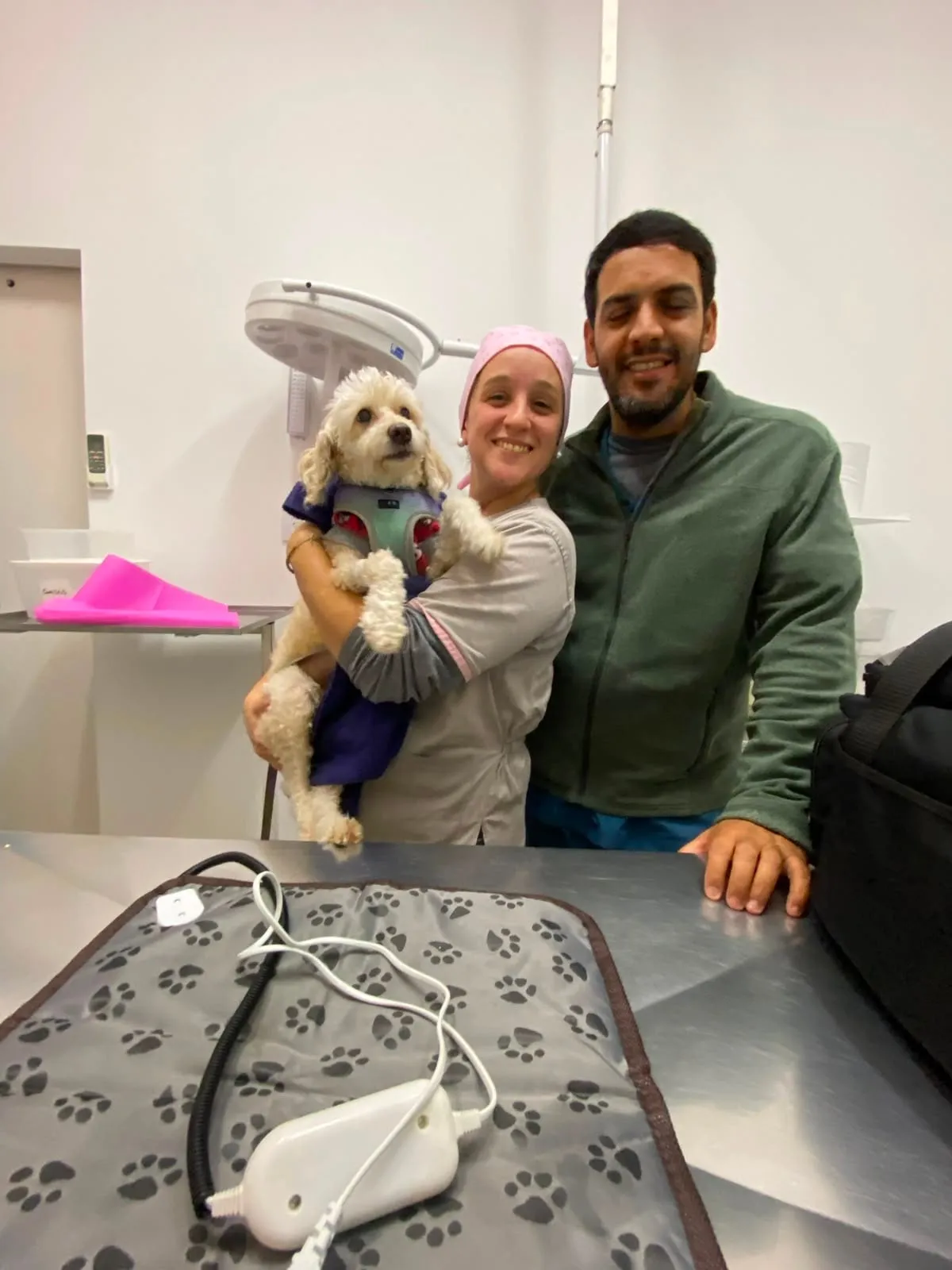 Paciente caniche en recuperación junto al equipo