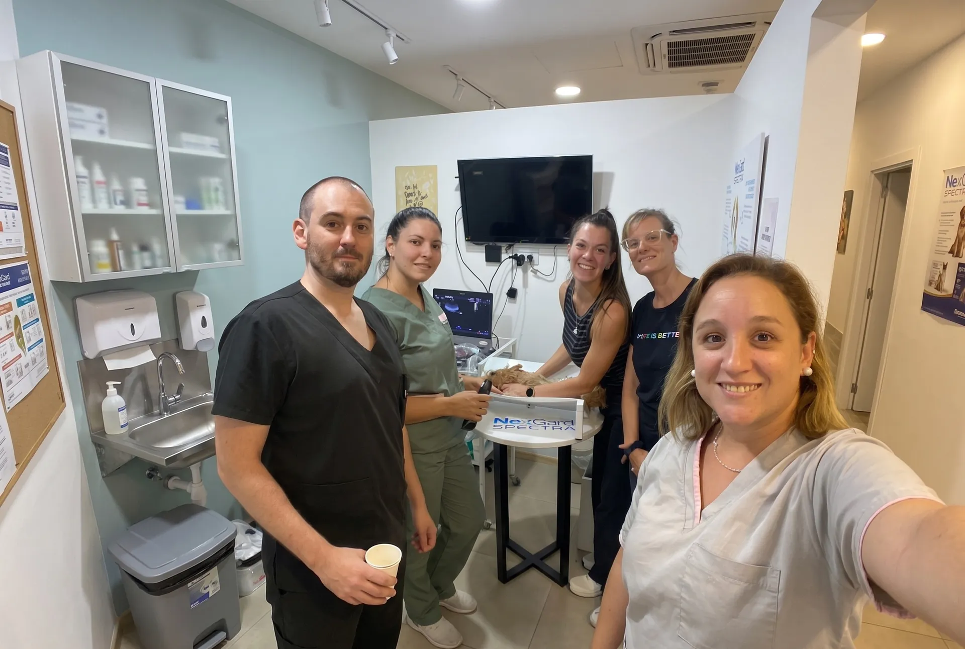 El equipo de NeoVet atendiendo a un paciente en la clínica