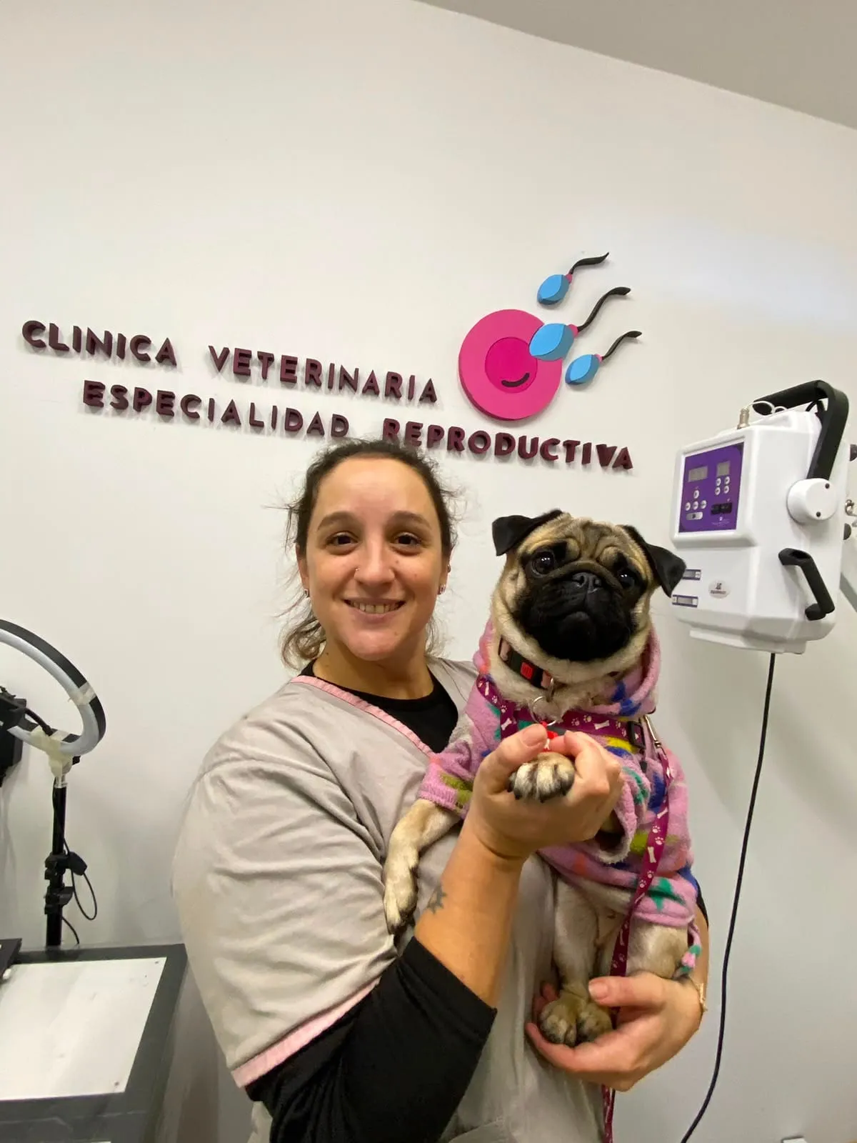 Staff de NeoVet con un pug en la clínica